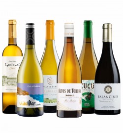 Godello contra todos