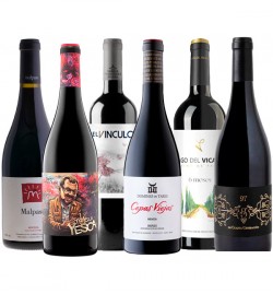 Vertical en diferentes DOs