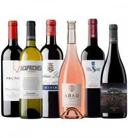 Bodegas Magníficas 2026