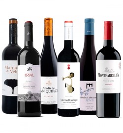 Vertical con sabor a Ribera