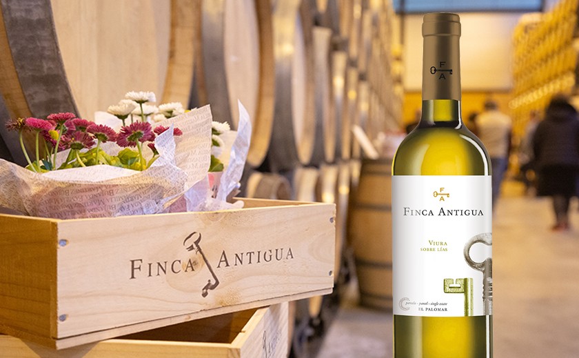 Finca Antigua Viura 2019, nueva añada de un vino fresco y moderno