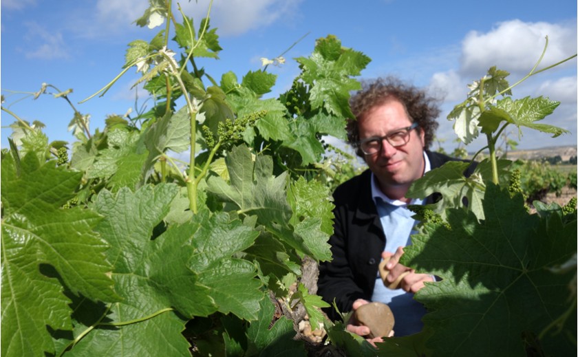 Bertrand Sardois, el gran vigneron de Soria