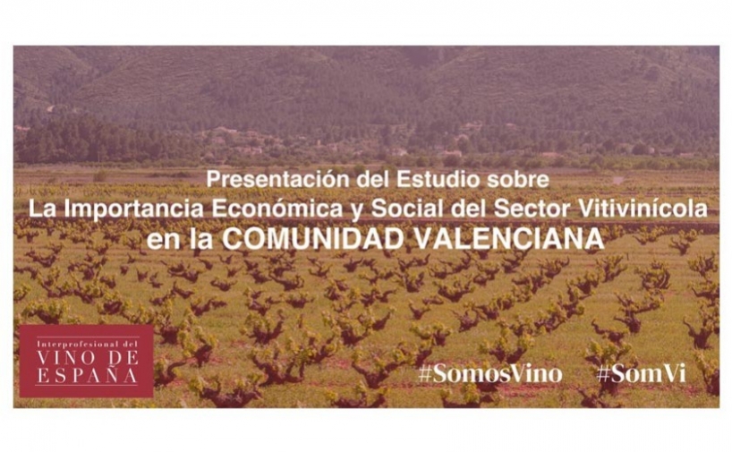 La importancia del sector vitivinícola en la Comunidad Valenciana