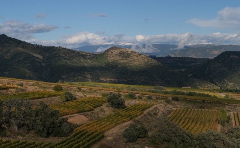 Pirene 2020, el nuevo vino ancestral de Familia Torres 