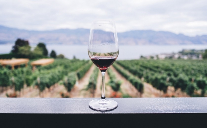 El consumo de vino en España se estabiliza en torno a los 9,6 millones de hl