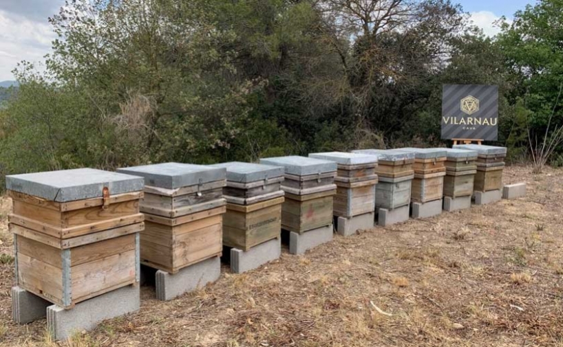 Vilarnau, la bodega de cava ecológico que cuida de las abejas