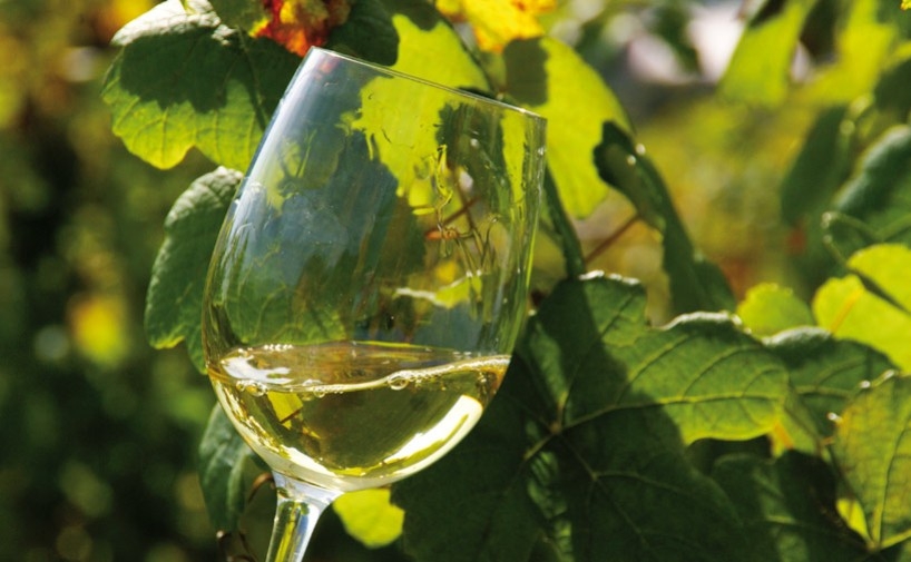 Exportaciones españolas de vino a abril de 2023