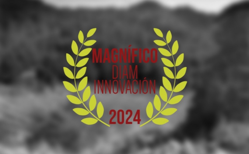 Magnífico DIAM Innovación 2024
