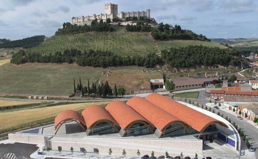 Protos es la marca de vino más poderosa de España