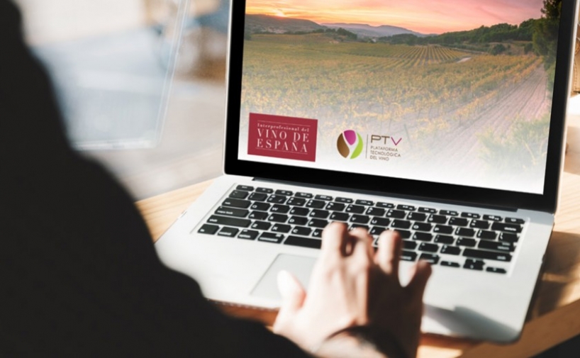 Formación online para los profesionales  del sector vitivinícola 