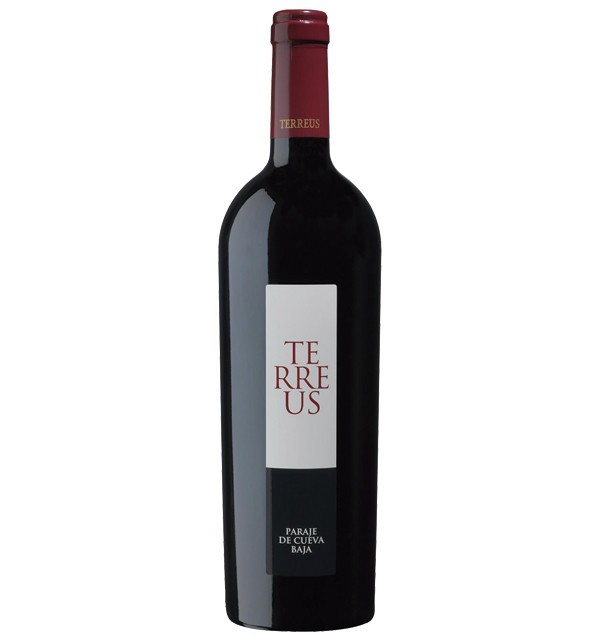 Terreus 2022