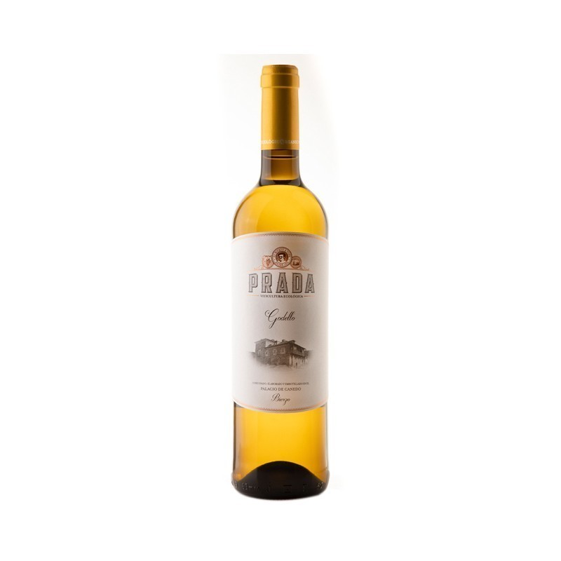 Prada Godello 2024