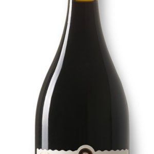 EL BELISARIO 2015