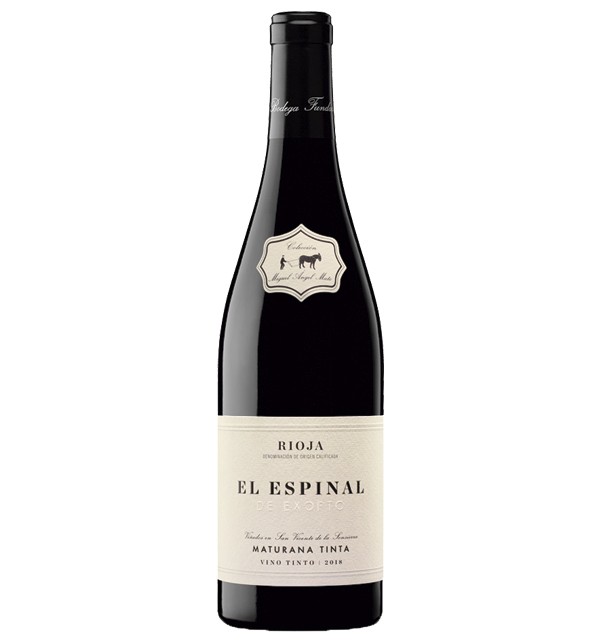 EXOPTO EL ESPINAL 2019