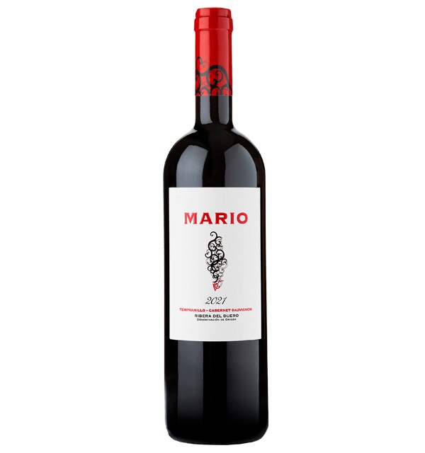 Mario VC 2021